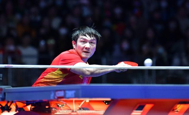 他们在本届 他们在本届